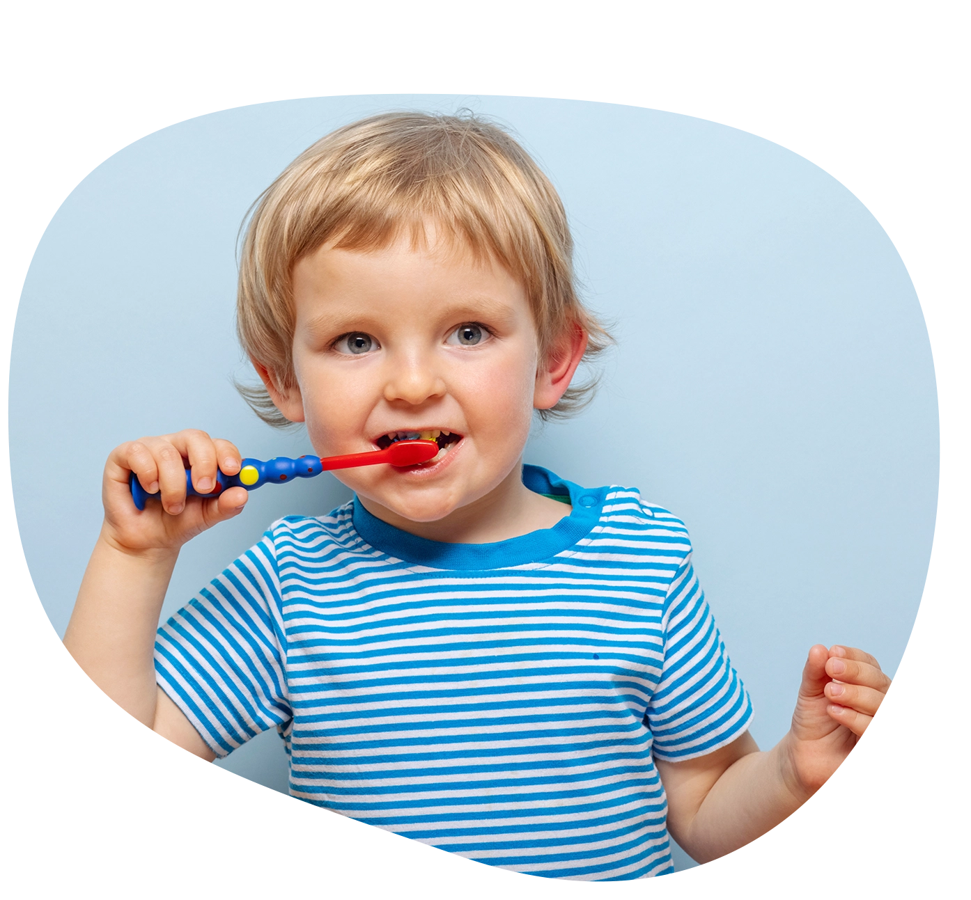 Little blonde boy brushing teeth with toothbrush on blue background